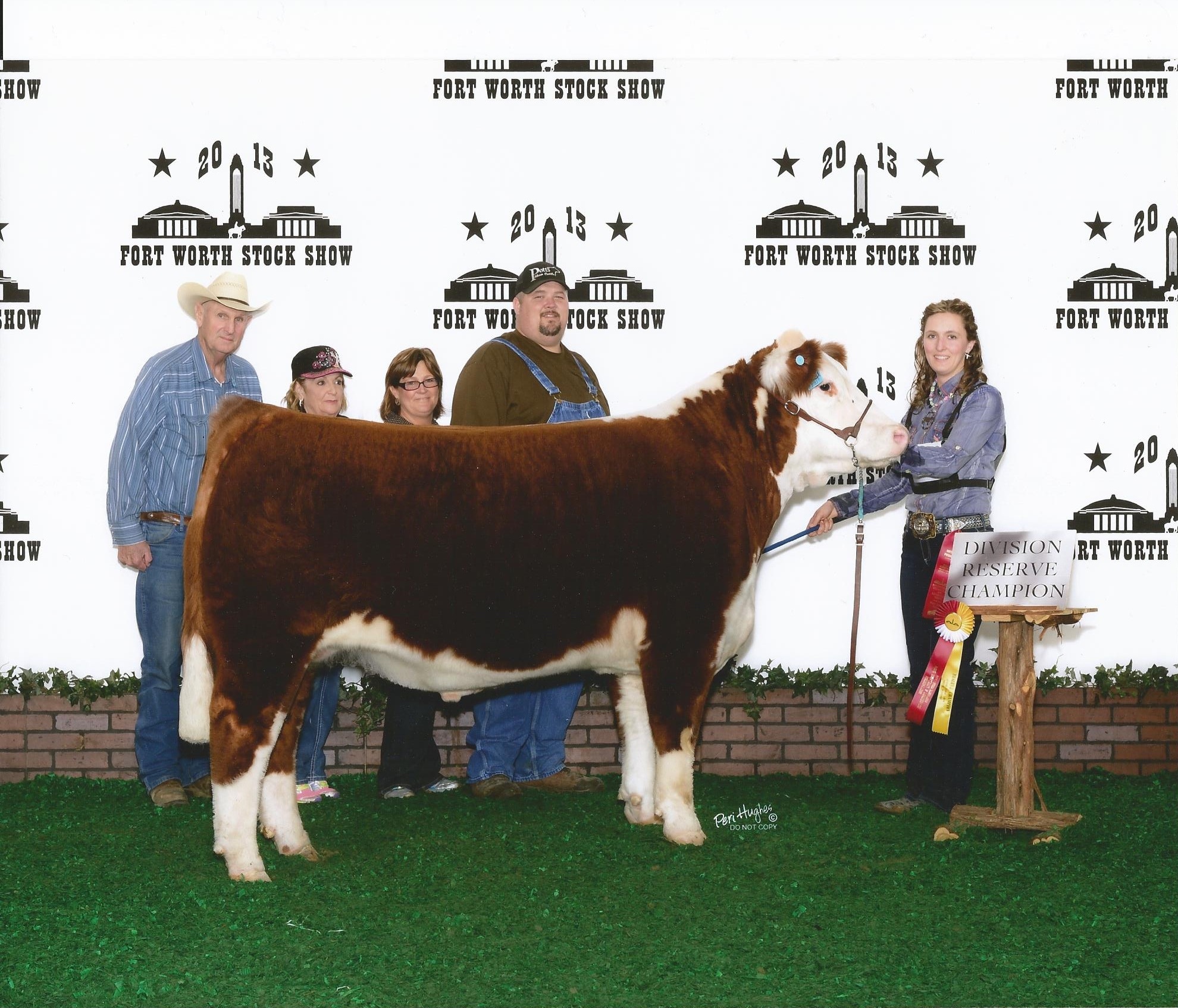 Reserve Champion Polled Hereford